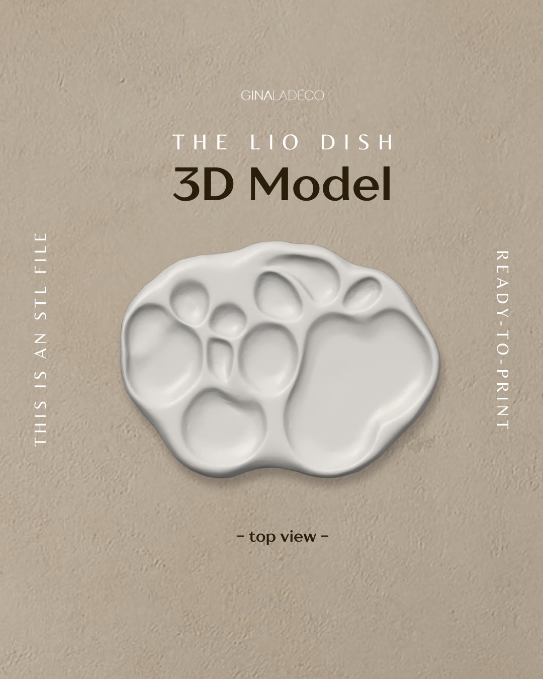 The Lio Dish - 3D Model (STL File)