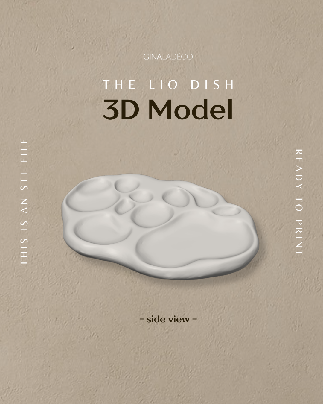 The Lio Dish - 3D Model (STL File)
